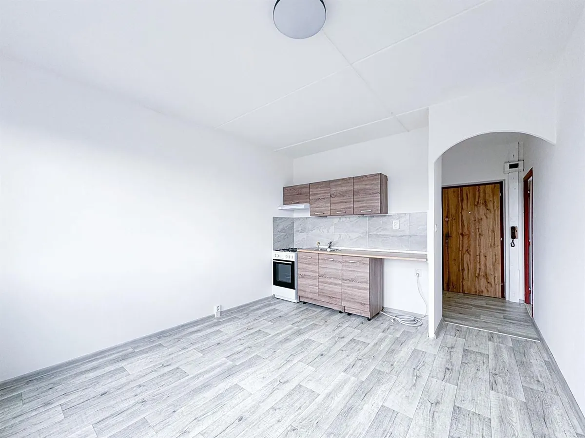 Pronájem bytu 1+1 34 m²